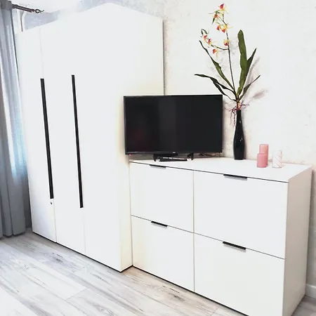 Near Arena On Syhivska Apartment *